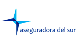 Aseguradora del sur